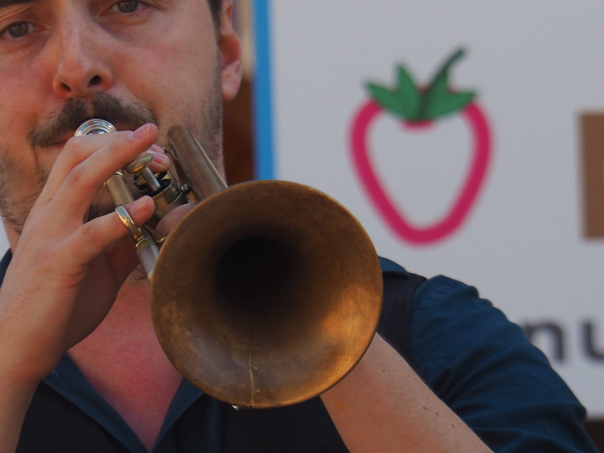 Fotogalerie 2018 20 P9080549 scaled